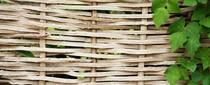 Wicker fencing 